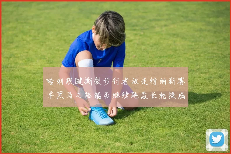 哈利跟腱撕裂步行者放走特纳新赛季黑马之路能否继续跑轰长轮换成关键