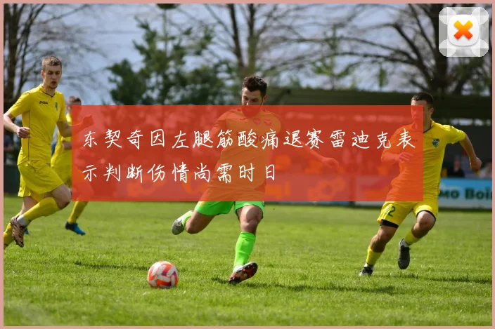 东契奇因左腿筋酸痛退赛雷迪克表示判断伤情尚需时日