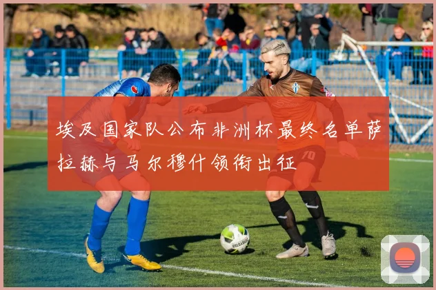 埃及国家队公布非洲杯最终名单萨拉赫与马尔穆什领衔出征