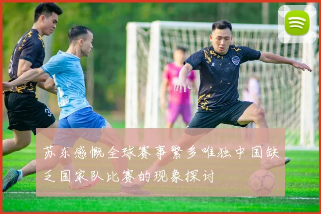 苏东感慨全球赛事繁多唯独中国缺乏国家队比赛的现象探讨