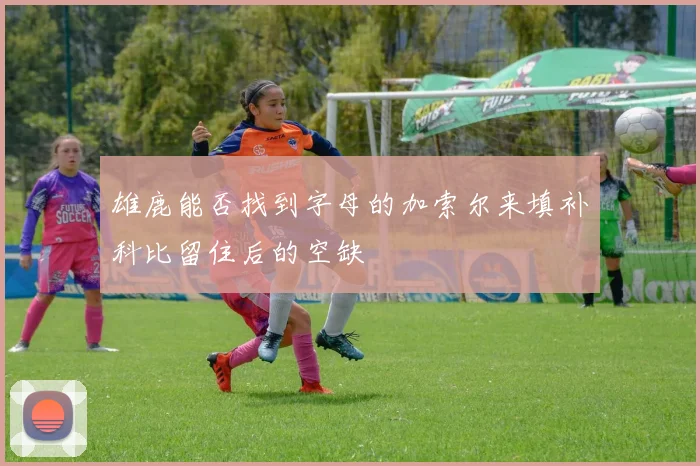 雄鹿能否找到字母的加索尔来填补科比留住后的空缺