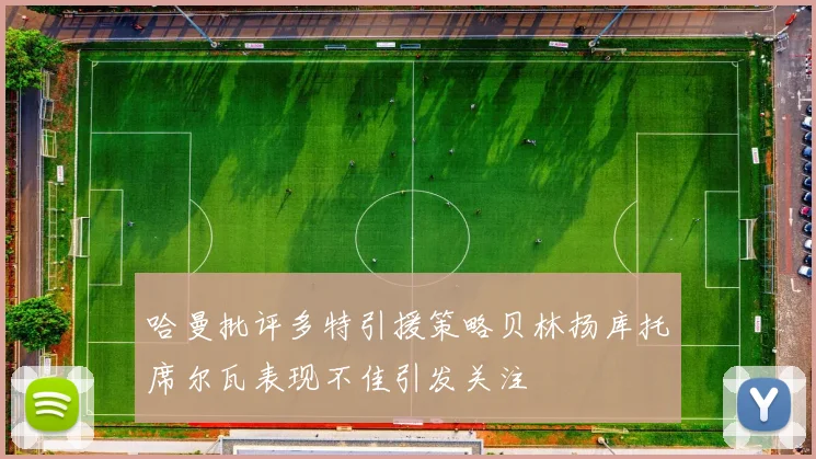 哈曼批评多特引援策略贝林扬库托席尔瓦表现不佳引发关注